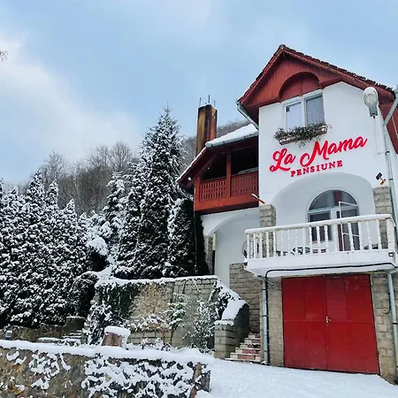 La Mama Guest house Pietroasa (Bihor)